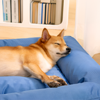 Cama Antidesgarros para Perros - Resistente a Mordidas