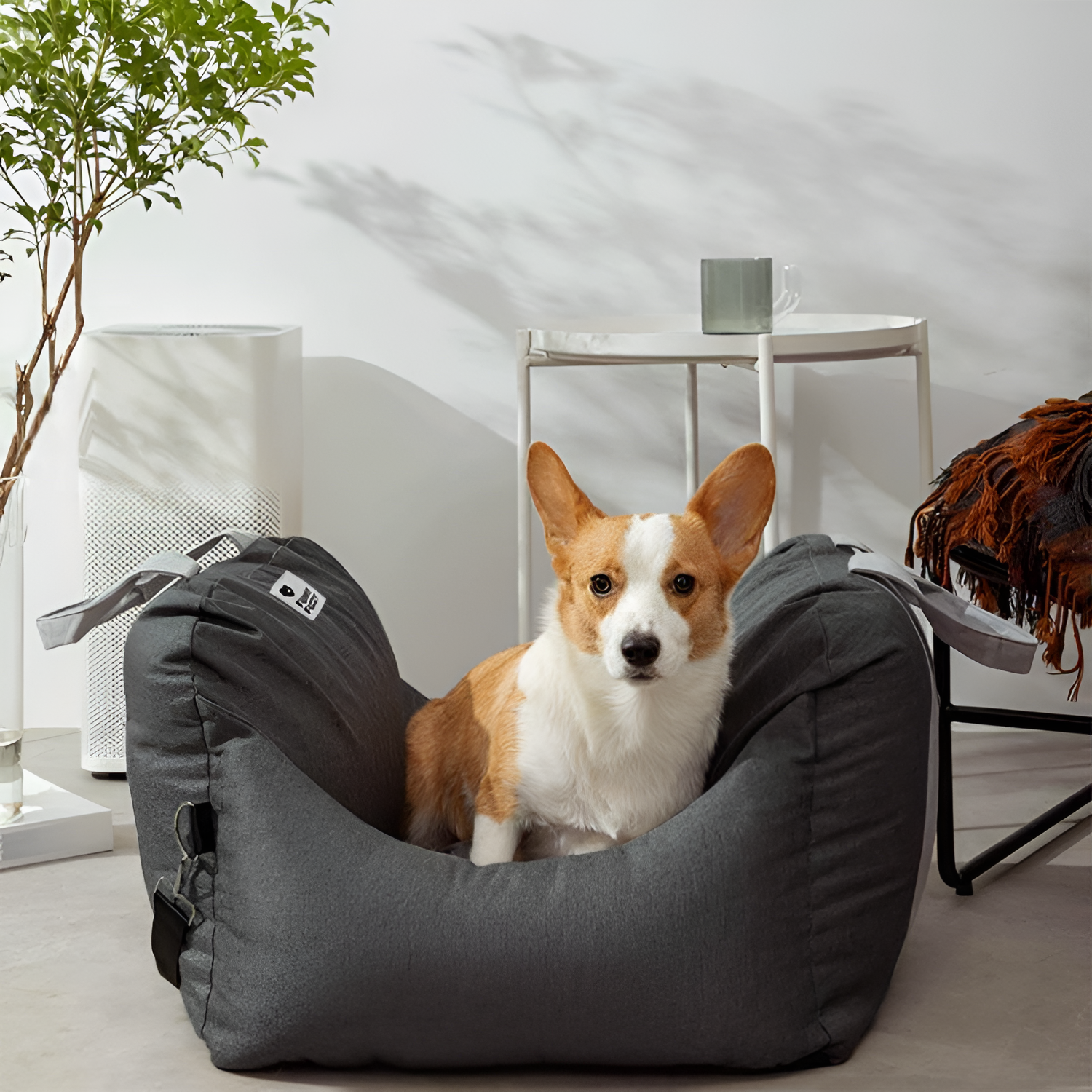 Cama Monocolor Viaje Para Mascotas - Convertible