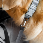 Cama de Coche para Perros de Cojín Sólido - Funcional