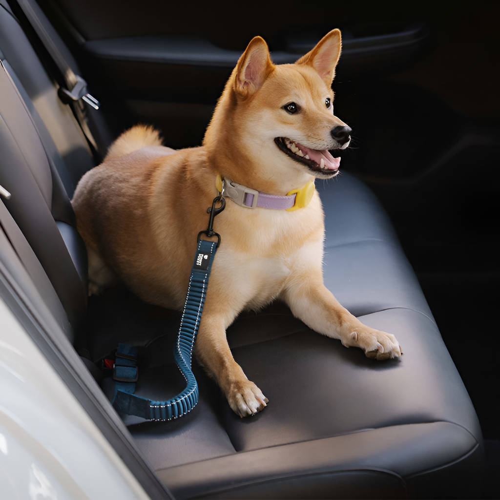 Cinturón De Seguridad Con Amortiguador Para Perro -  Ajustable