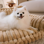 Cama-sofá Para Mascotas - Pana
