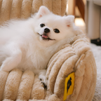 Cama-sofá Para Mascotas - Pana