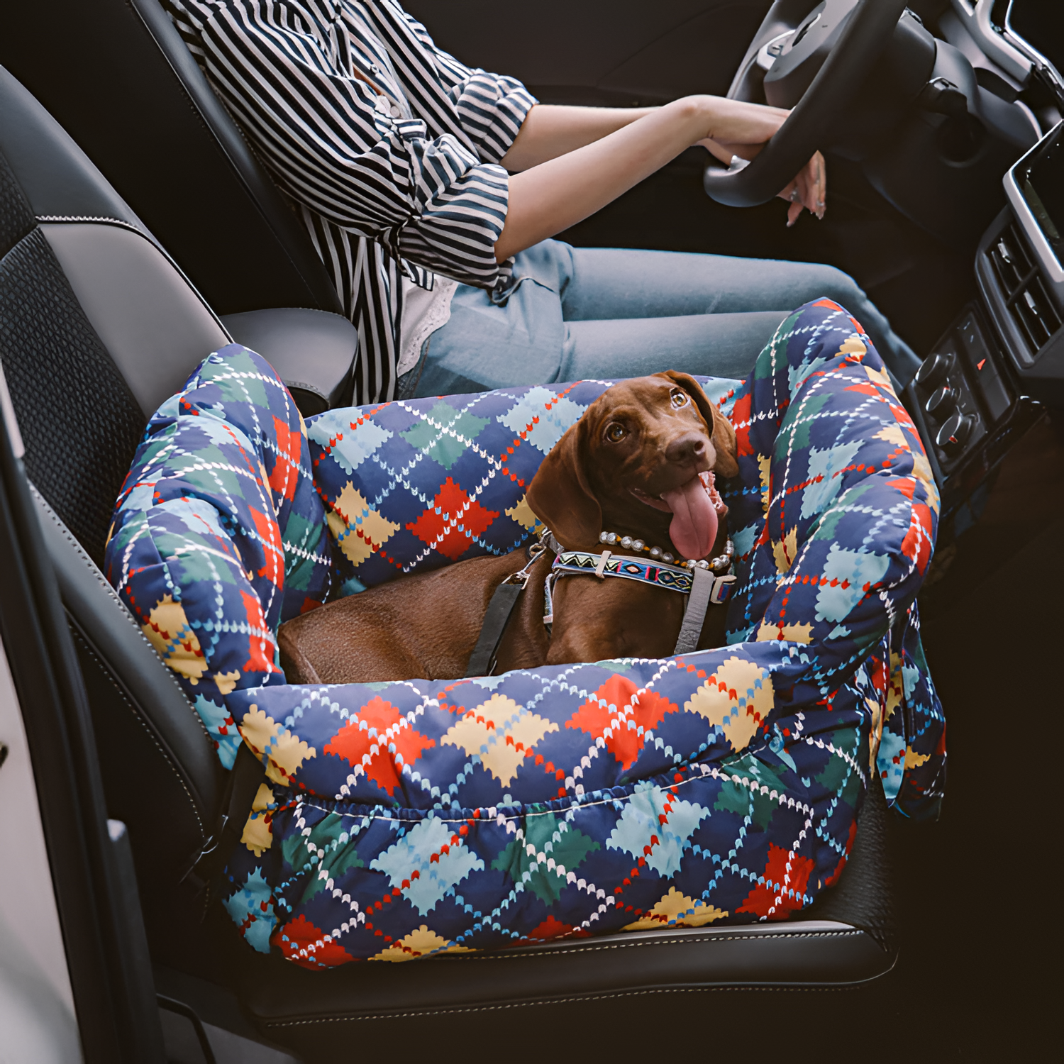 Asiento Elevador Portátil de Cuadros para Mascota - Cama de Viaje