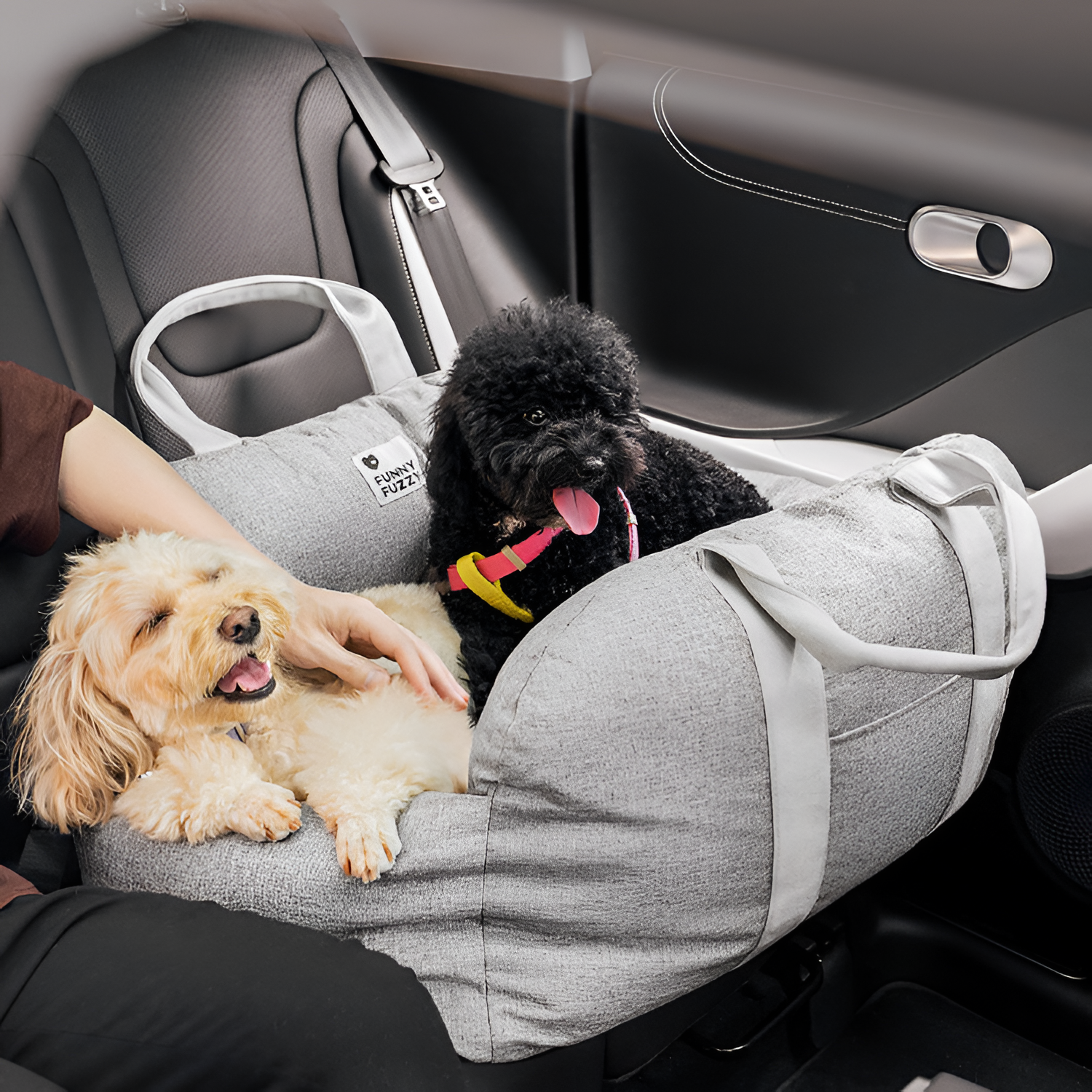 Cama Monocolor Viaje Para Mascotas - Convertible