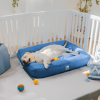 Cama Antidesgarros para Perros - Resistente a Mordidas