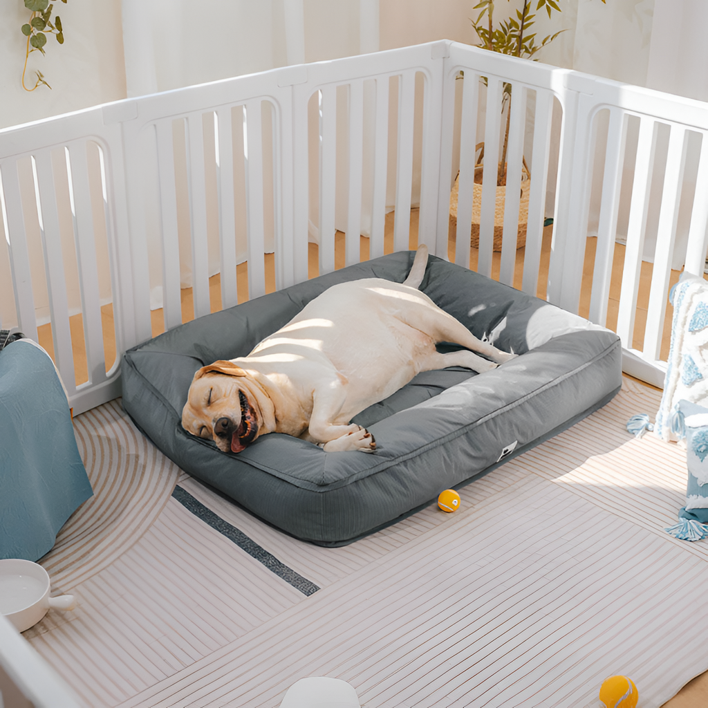 Cama Antidesgarros para Perros - Resistente a Mordidas