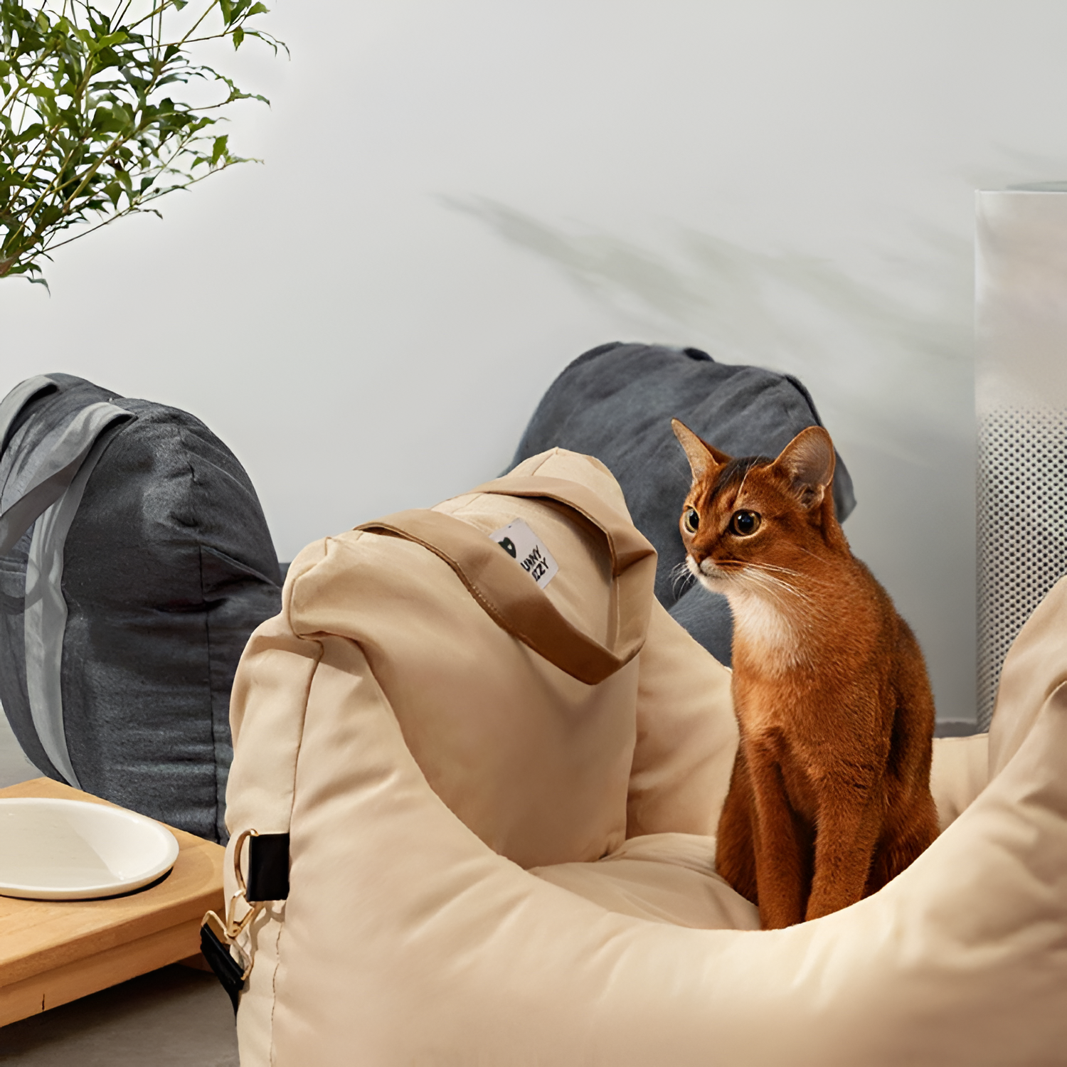 Cama Monocolor Viaje Para Mascotas - Convertible