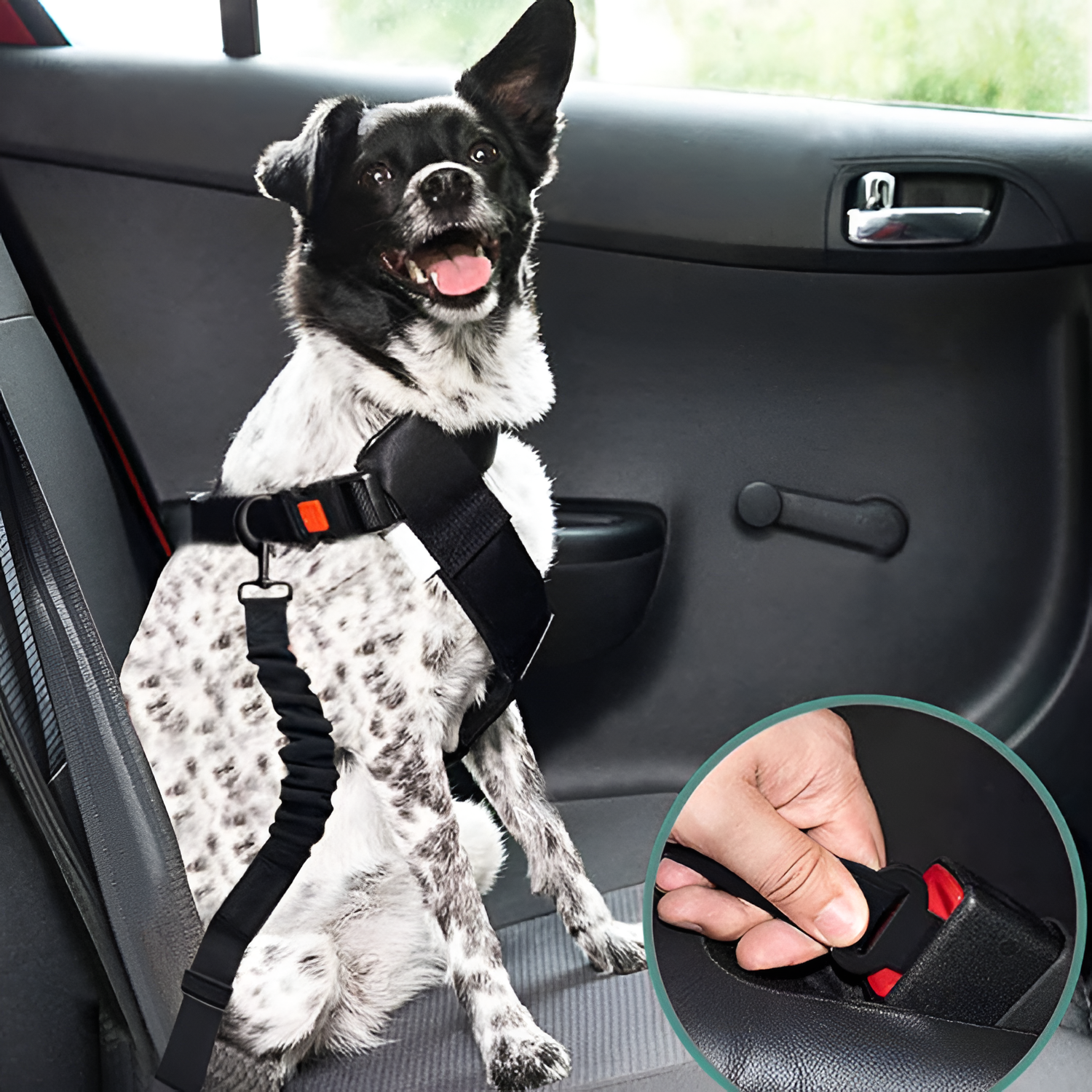 Cinturón De Seguridad Con Amortiguador Para Perro -  Ajustable
