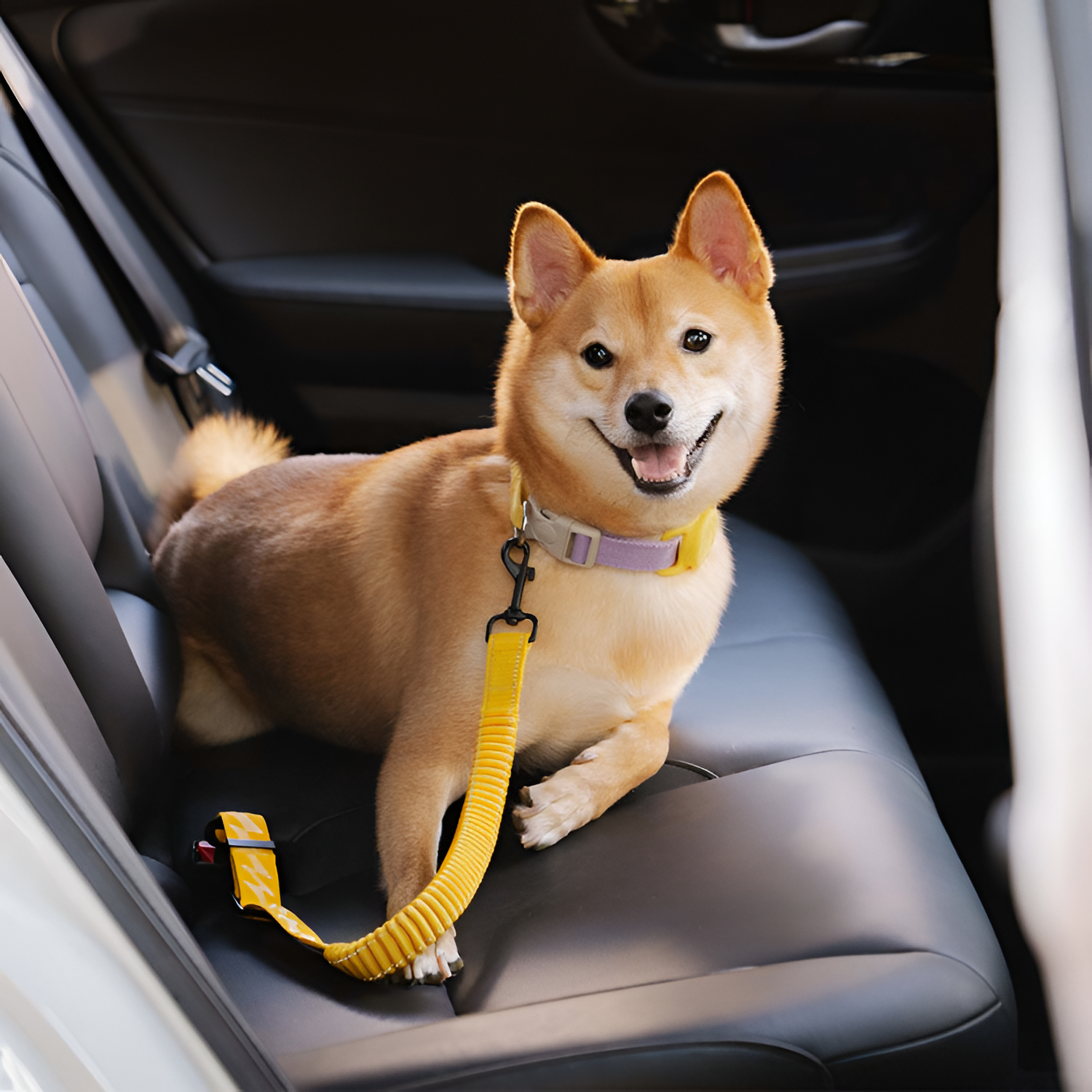 Tallacinturón De Seguridad Elástico Para Perros - Ajustable