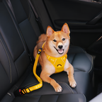 Cinturón De Seguridad Con Amortiguador Para Perro -  Ajustable