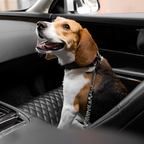 Tallacinturón De Seguridad Elástico Para Perros - Ajustable