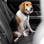 Cinturón De Seguridad Con Amortiguador Para Perro -  Ajustable