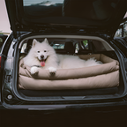 Cama Acolchada Ajustable de Coche para Perros - Solid Color
