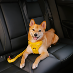 Cinturón De Seguridad Con Amortiguador Para Perro -  Ajustable