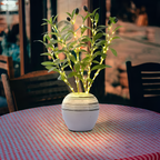 Árbol de Olivo con Luces Minimalista - A Batería