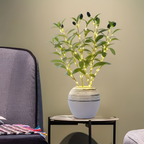 Árbol de Olivo con Luces Minimalista - A Batería