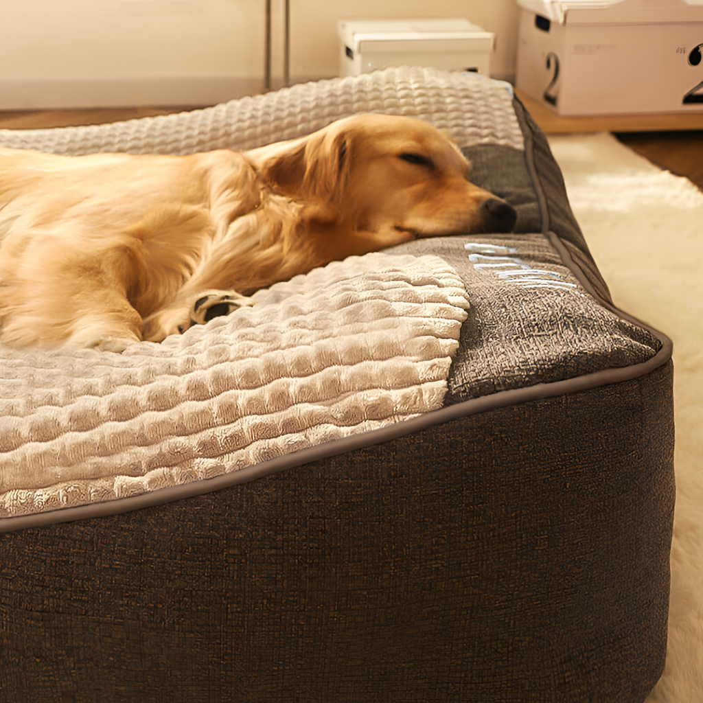 Cojín de suelo para mascotas - Cama para mascotas