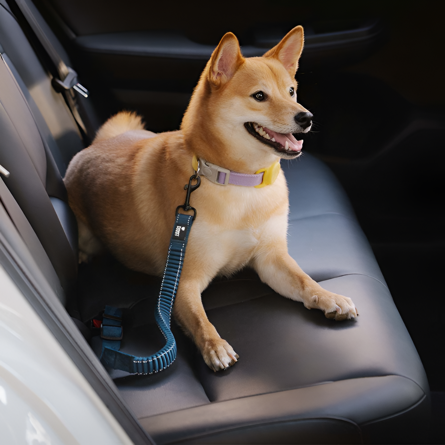 Tallacinturón De Seguridad Elástico Para Perros - Ajustable