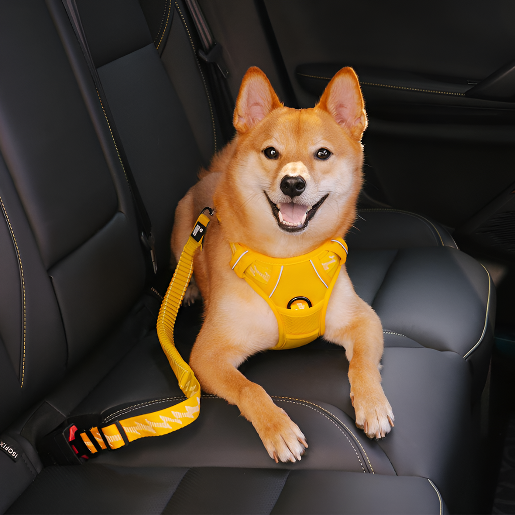 Cinturón De Seguridad Con Amortiguador Para Perro -  Ajustable