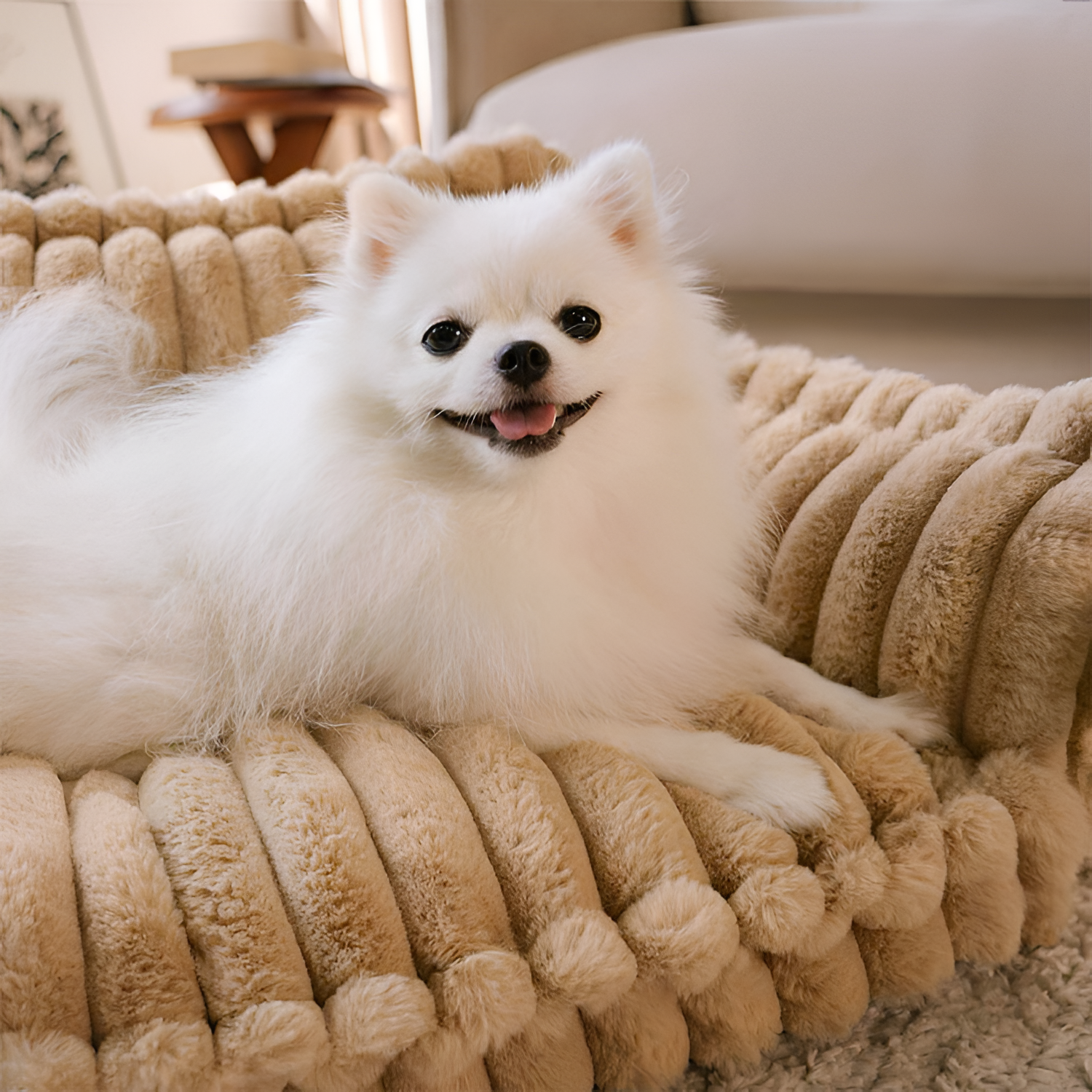 Sofá Convertible de Pana para Mascotas