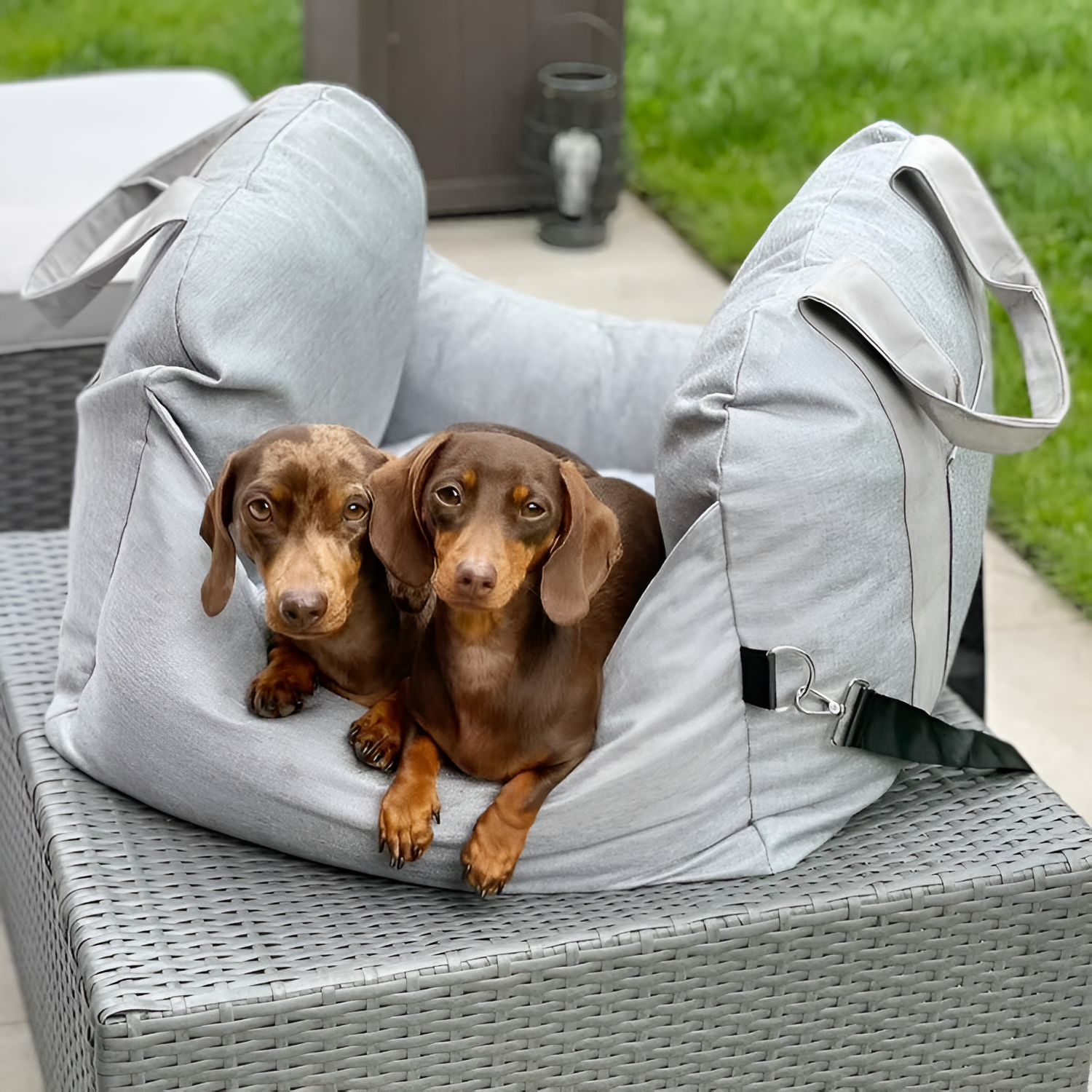 Cama Monocolor Viaje Para Mascotas - Convertible