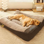 Cama ortopédica para perros grandes y medianos, con soporte elevado, funda lavable de terciopelo suave, ideal para el confort 0