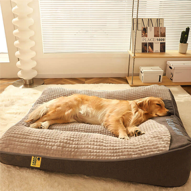 Cama ortopédica para perros grandes y medianos, con soporte elevado, funda lavable de terciopelo suave, ideal para el confort 1