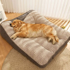 Cama ortopédica para perros grandes y medianos, con soporte elevado, funda lavable de terciopelo suave, ideal para el confort 2