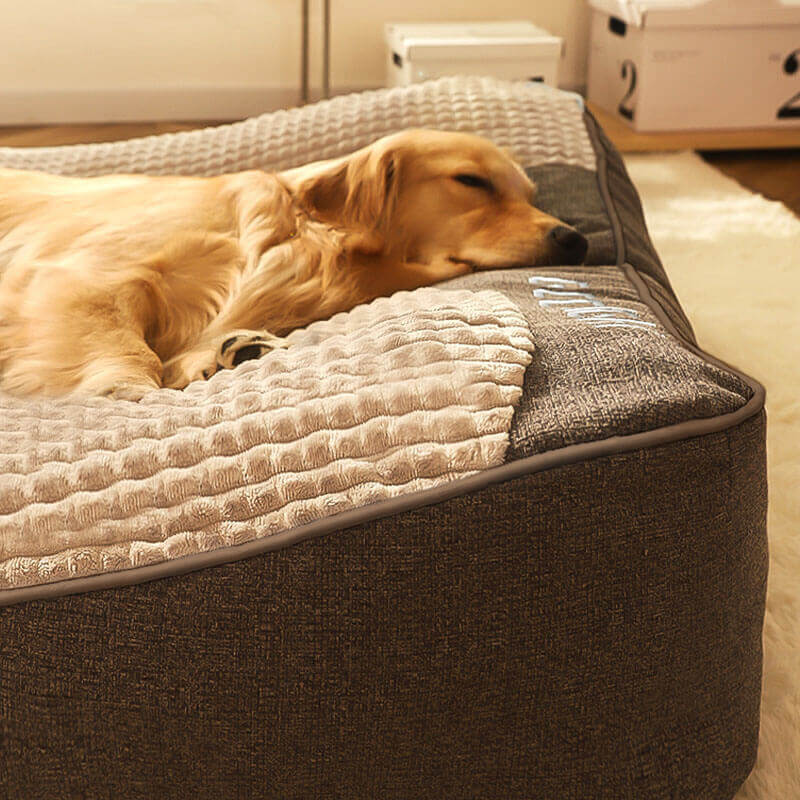 Cama ortopédica para perros grandes y medianos, con soporte elevado, funda lavable de terciopelo suave, ideal para el confort 3