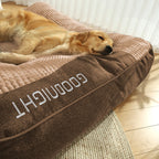 Cama ortopédica para perros grandes y medianos, con soporte elevado, funda lavable de terciopelo suave, ideal para el confort 4