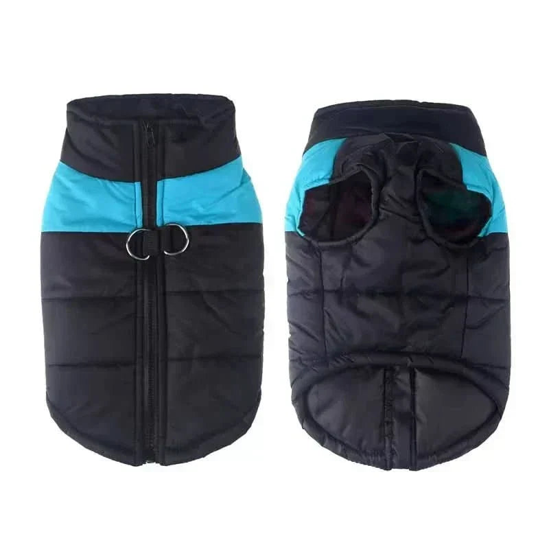 Chaqueta impermeable acolchada para perros con cremallera y anilla en D, disponible en tallas XS a 6XL, ideal 1