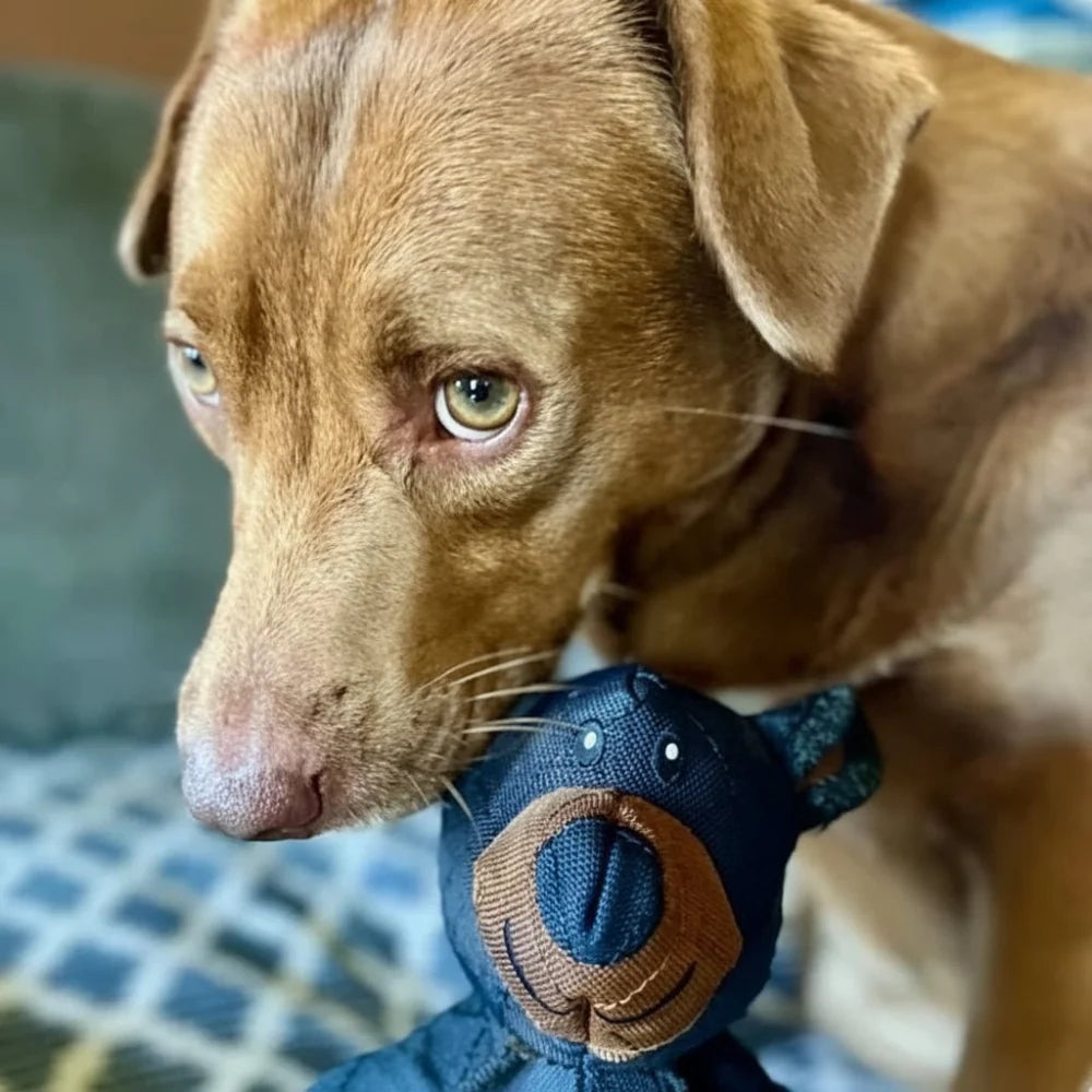 Juguete para perros resistente ideal para masticadores agresivos, fabricado con material ecológico y diseñado para mejorar la salud dental de tu mascota 1