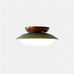 Lámpara de techo LED resistente a la humedad en diseño bicolor, perfecta para baños y áreas exteriores cubiertas. 0