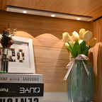 Barra De Luz Lineal Para Bajo Estante - Diseño moderno