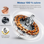 Ventilador de techo plateado y madera clara - Luminosidad y modernidad